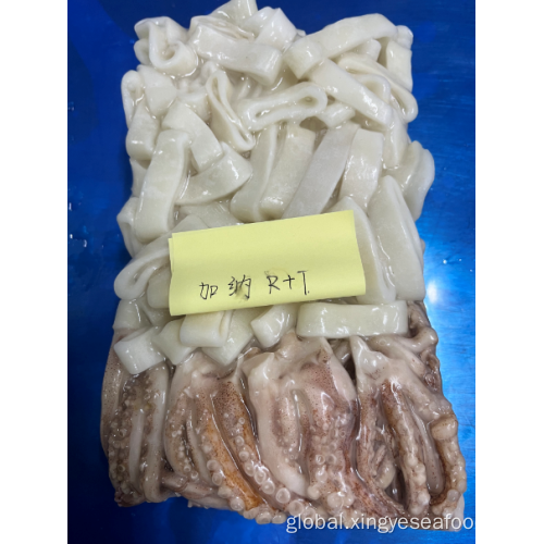 Frozen Squid Rings And Tentacles Frozen Squid Rings And Tentacles Illex Coindetii Manufactory